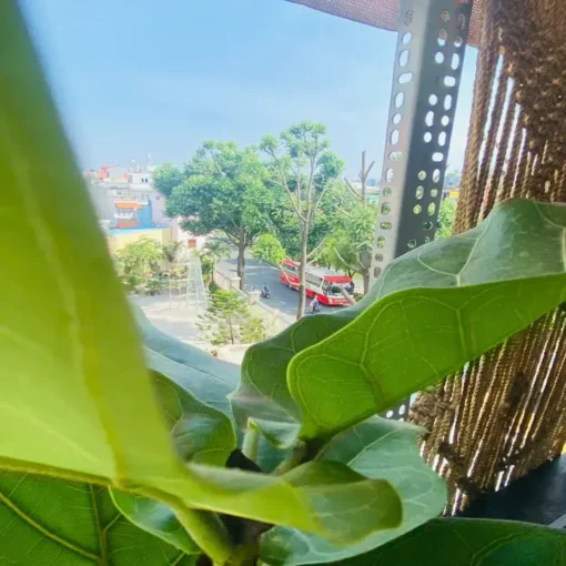 CHDV Tân Bình, Trường Sa - Hình ảnh 5