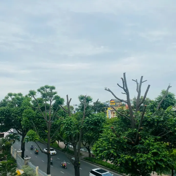 CHDV Tân Bình, Trường Sa